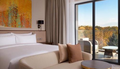 Deluxe King Room with Mountain View