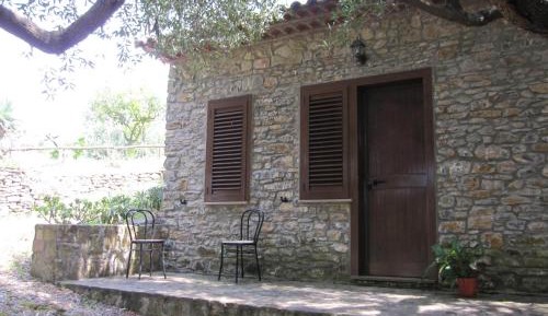 Double Room with Terrace