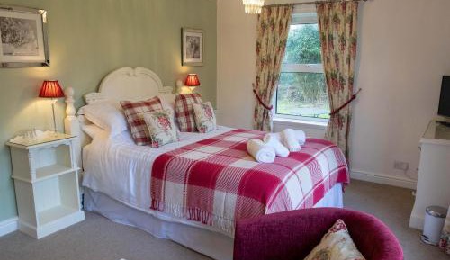 Deluxe King Room with Private Bathroom