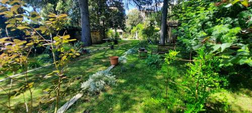 Double Room with Garden View