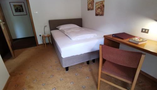 Single Room with Balcony and Mountain View