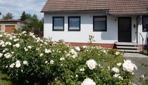 One-Bedroom Apartment with Garden View