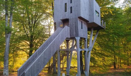 TREE HOUSE 26 ft high Etape en Foret Normandy
