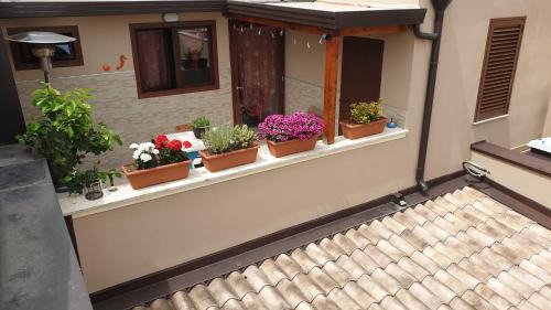 Double Room with Terrace