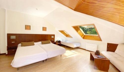 Family Room (3 Adults)