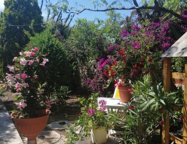 Apartment with Garden View