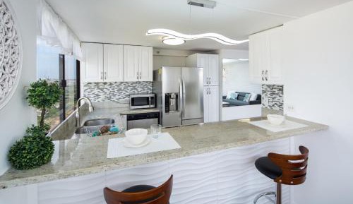 Penthouse Apartment