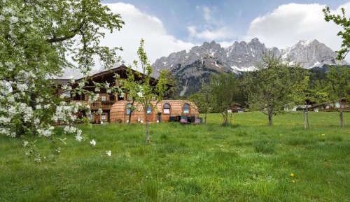 Mobile Home