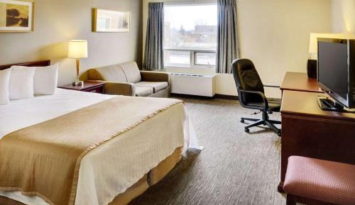 Standard Queen Room