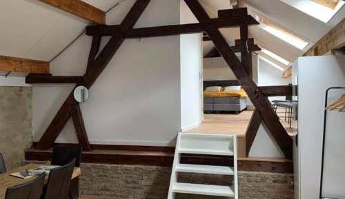 Large Double Room with Private Shower - Attic
