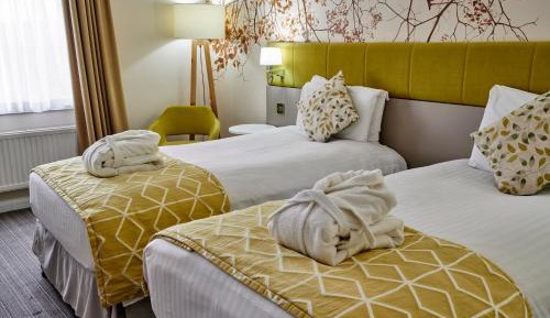 Executive Twin Room