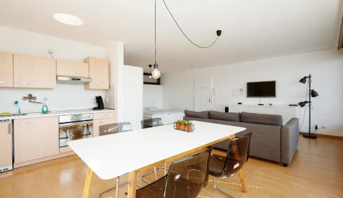 Penthouse Apartment