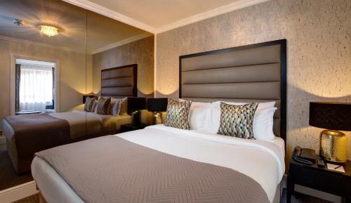 Suite Room