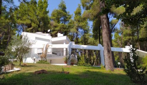 Superior Villa