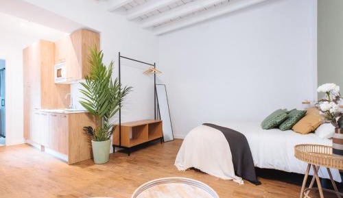 Studio Apartment