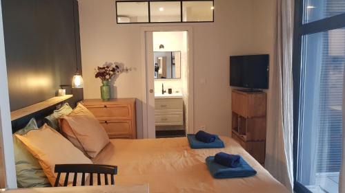 Superior Studio