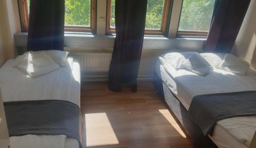 Basic Triple Room