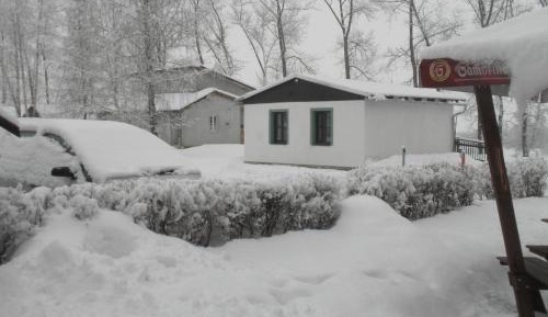 Family Bungalow