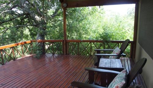 Lion Tree Top Tent