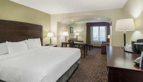 One-Bedroom King Suite with Sofa Bed - Non-Smoking