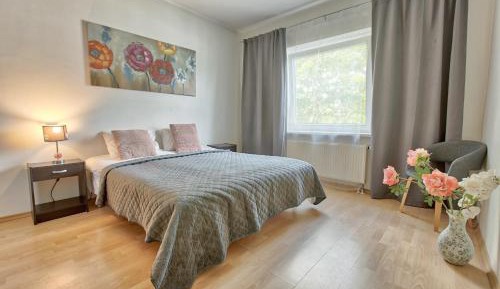 Standard One-Bedroom Apartment
