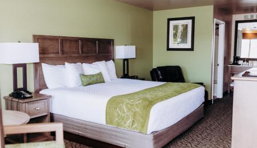 King Room