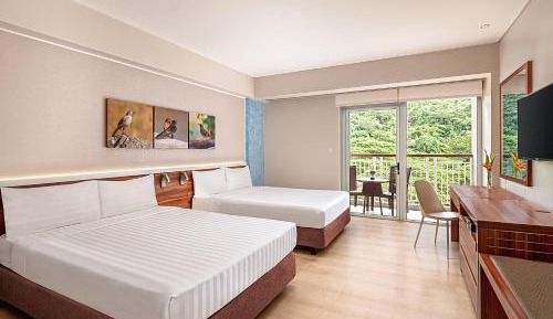 Premier Mountain View