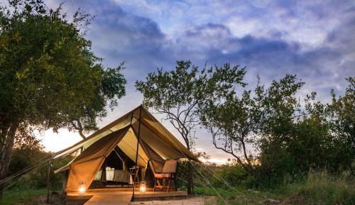 Cottage Tent 1