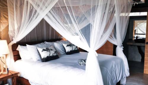 Luxury Tent including two games drives per day