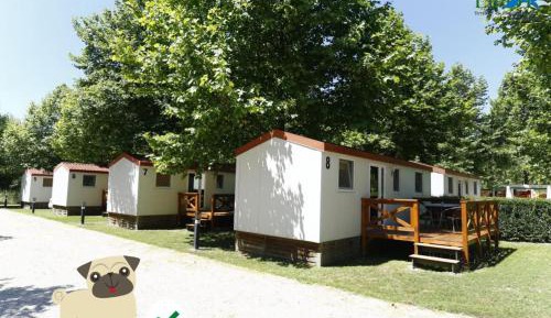 Mobile Home
