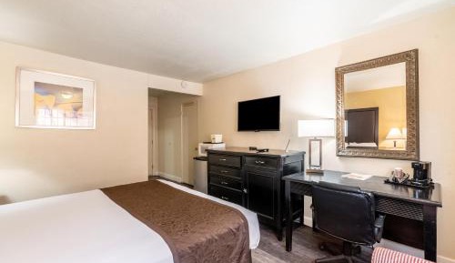 Standard King Room