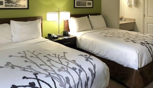 Superior Double Room with Two Double Beds - Non-Smoking/ Ultra Clean