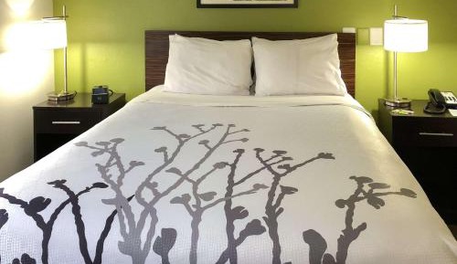 Superior Queen Room - Disability Access/Non-Smoking
