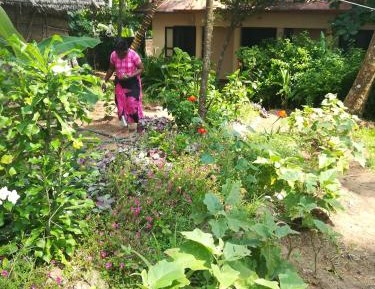 Double Room with Garden View