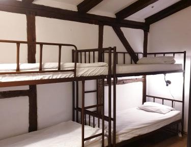 Bed in 4-Bed Dormitory Room