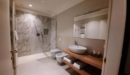 Superior Double or Twin Room with Terrace