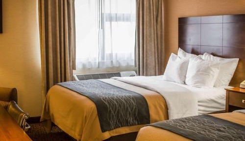 Queen Room with Two Queen Beds - Non-Smoking