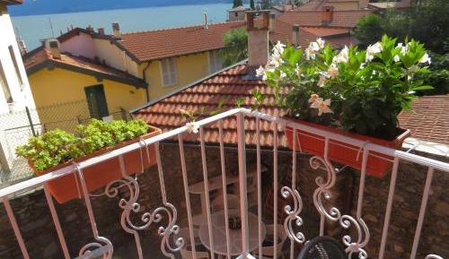 Apartment with Garden View
