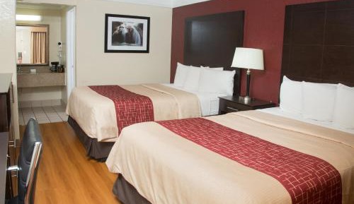 Deluxe Room with Two Double Beds Non-Smoking