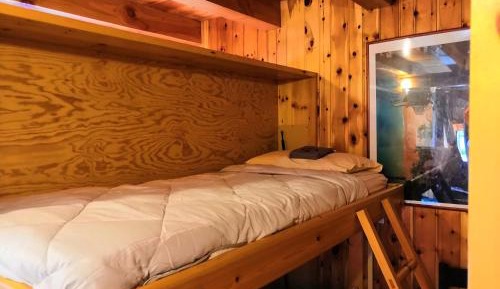 Single Bed in Dormitory Room