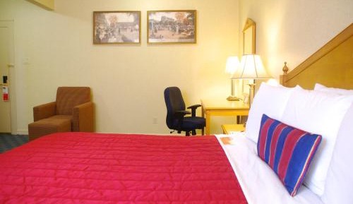 Double Room - Non-Smoking 