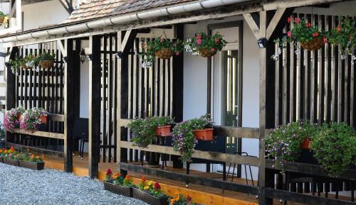 Double Room with Patio