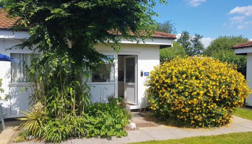 Two-Bedroom Chalet- Sunny View