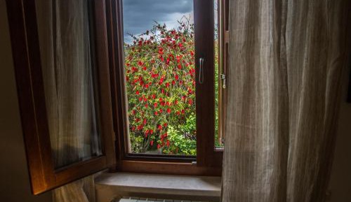 Twin Room with Private External Bathroom