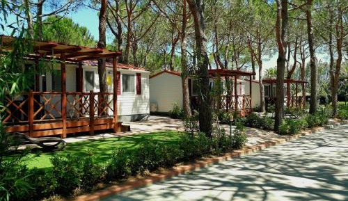 Mobile Home