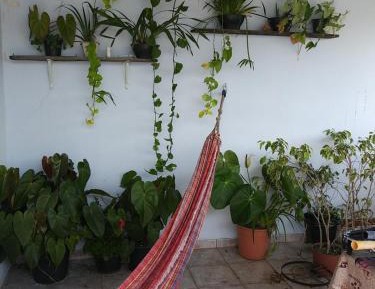 Large Single Room