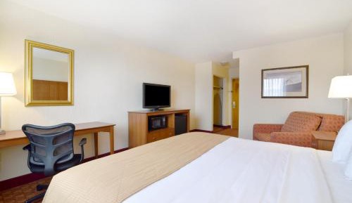 King Room - Pet Friendly/Non-Smoking