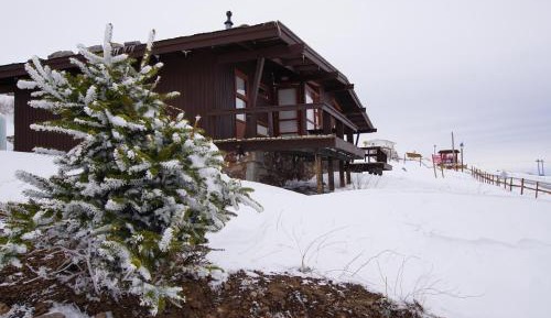 Family Bungalow