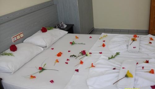 One-Bedroom Apartment (3 Adults)