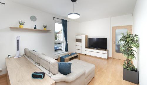Apartment with Mountain View